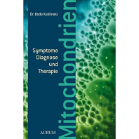 Mitochondrien – Symptome, Diagnose und Therapie