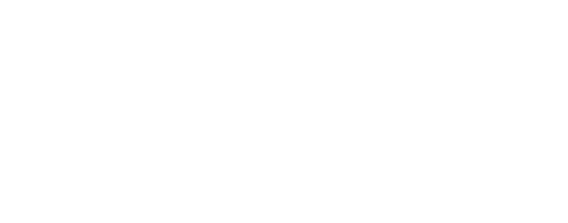 mse Logo